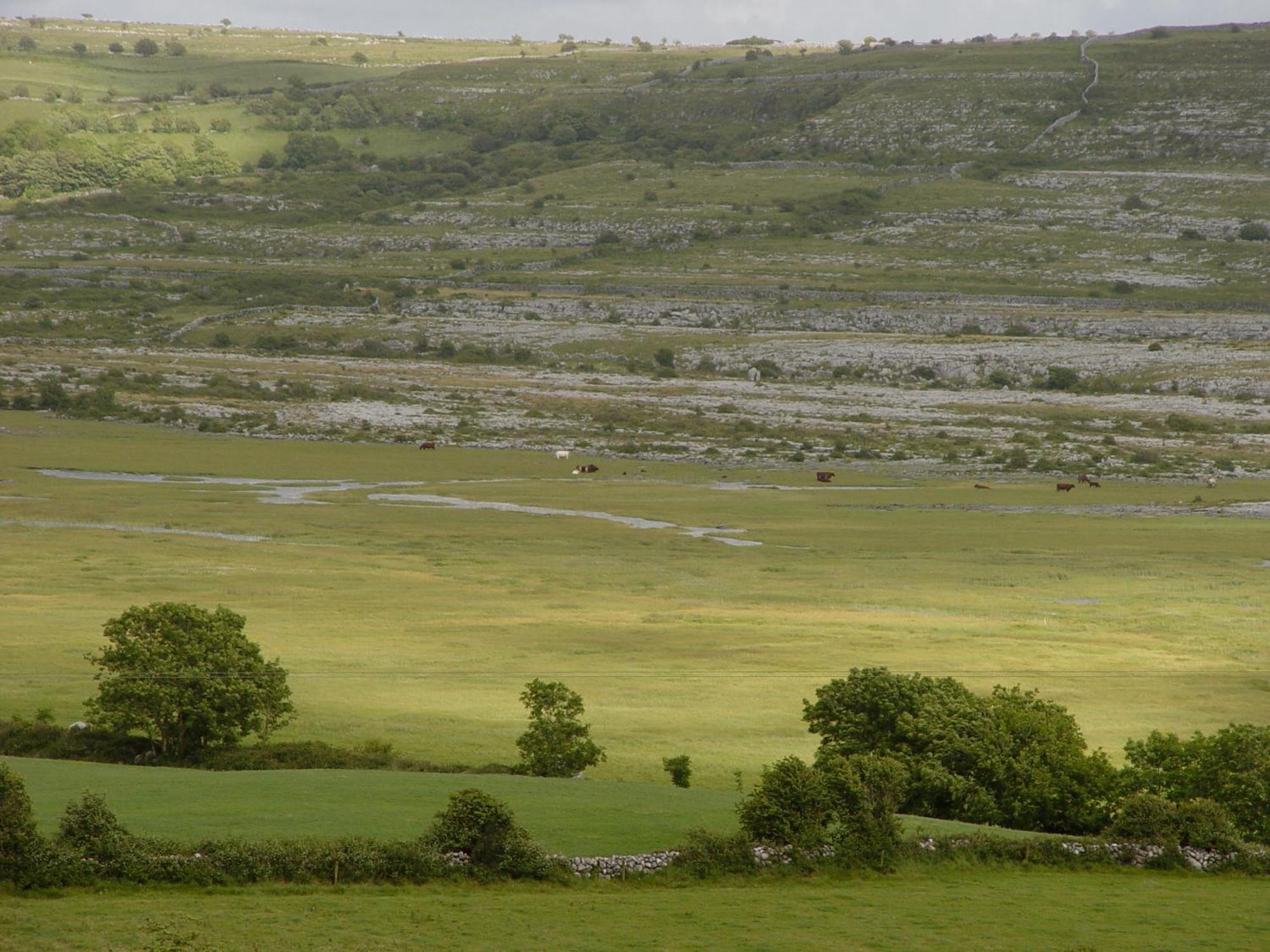 Carron Clare'S Rock Self-Catering Accommodation מראה חיצוני תמונה