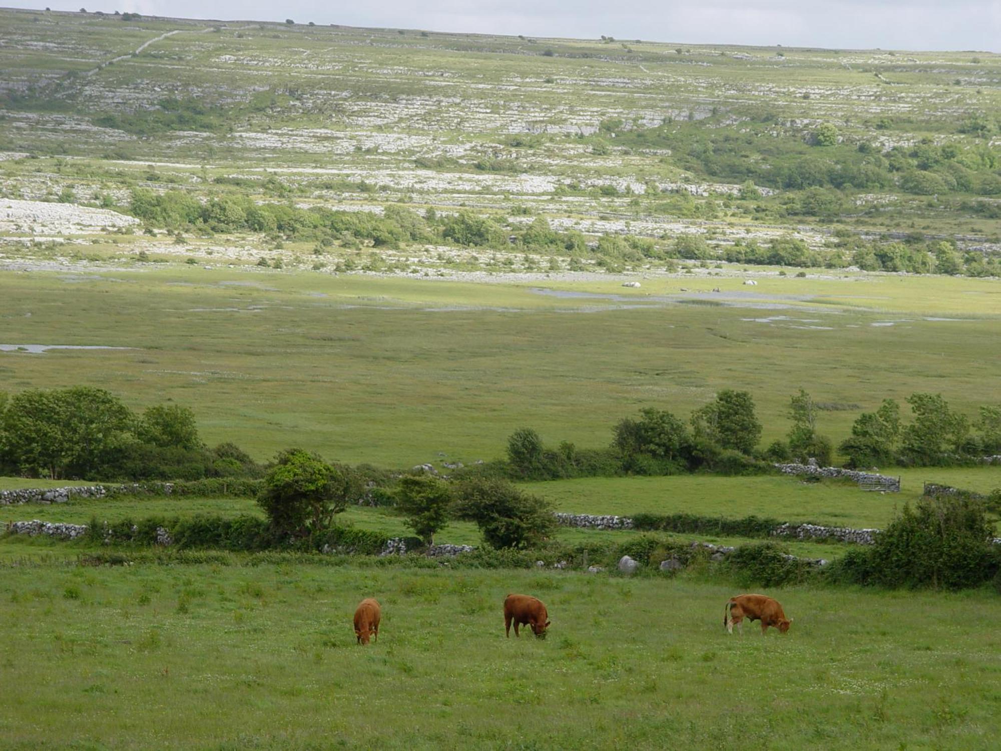 Carron Clare'S Rock Self-Catering Accommodation מראה חיצוני תמונה